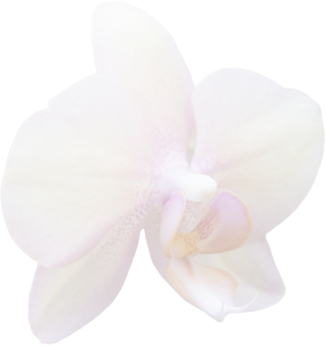 Flower-2