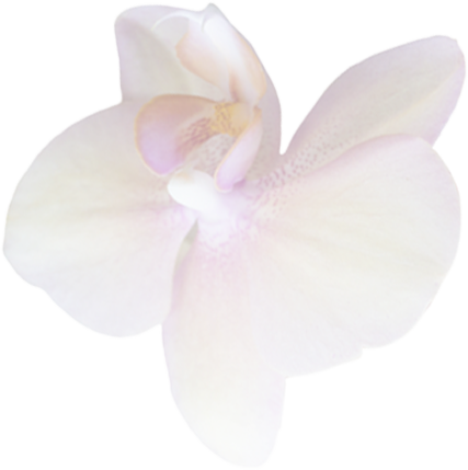 Flower-1